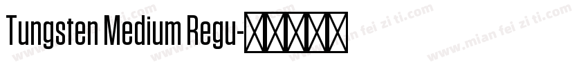Tungsten Medium Regu字体转换
